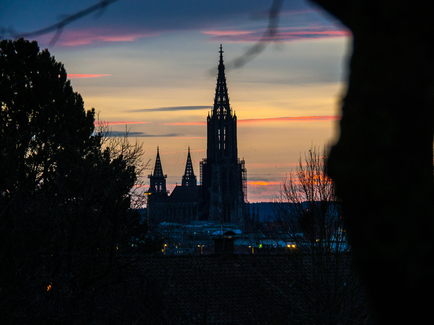 Ulmer Münster im Morgengrauen